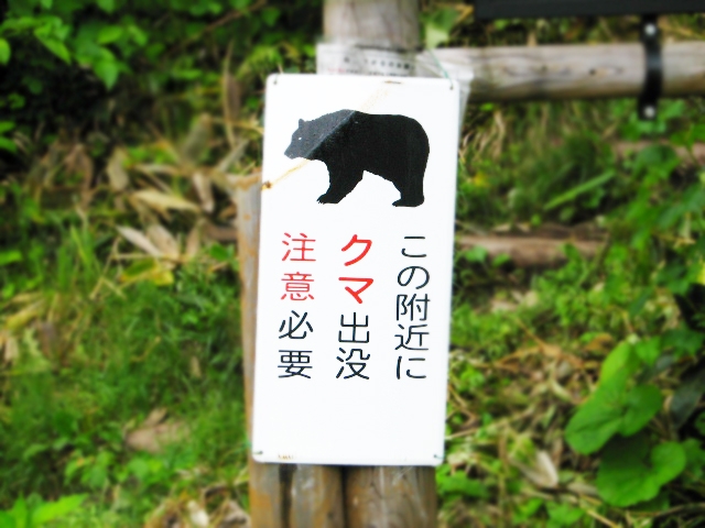 熊　遭遇