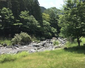 徳島県　キャンピング