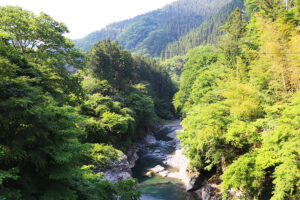 埼玉県秩父　キャンプ場