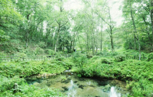 岡山県　キャンプ場