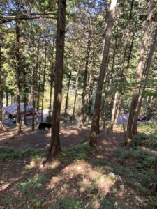 兵庫県camping
