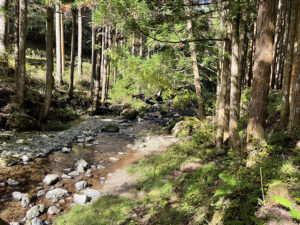 奈良県・泉の森オートキャンプ場 小広荘