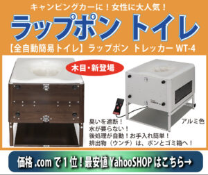 ラップポン　最安値