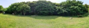 和歌山県キャンプ