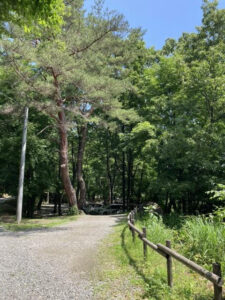 山梨県　キャンプ