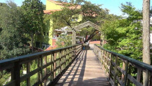 大阪府　キャンプ場