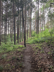 栃木県　オートキャンプ