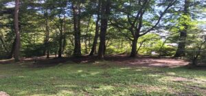 長野県浅間山荘キャンプ場　長野県小諸市甲又4766-キャンピングカー