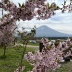 静岡　ふもとっぱらキャンプ場