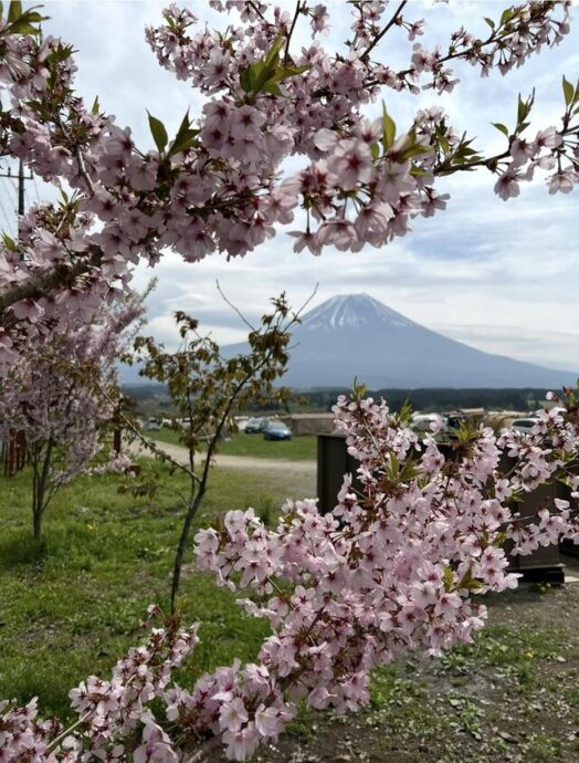 静岡　ふもとっぱらキャンプ場