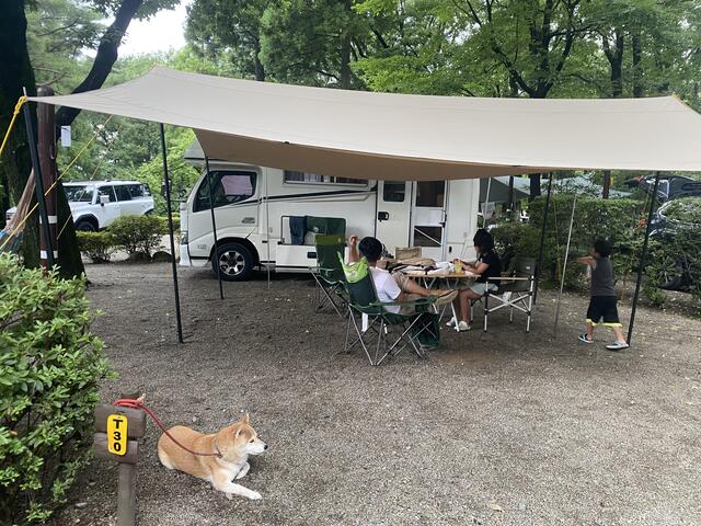 栃木県【キャンプアンドキャビンズ那須高原】