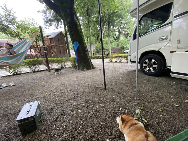 栃木県【キャンプアンドキャビンズ那須高原】