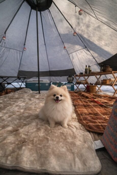 愛知県 つぐ高原グリーンパーク オートキャンプ場