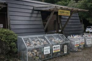 愛知県 つぐ高原グリーンパーク オートキャンプ場