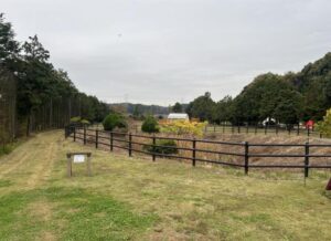 千葉県【岩ogawa GRAND lodge FIELD】
