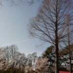 愛媛県 キャンピングカー