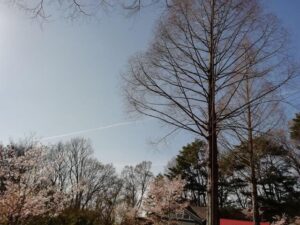 愛媛県 キャンピングカー