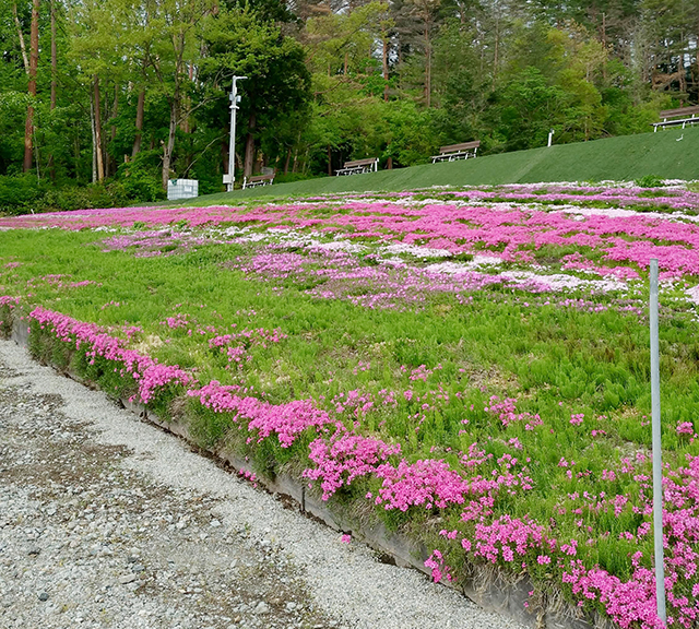 山形県 キャンプ場