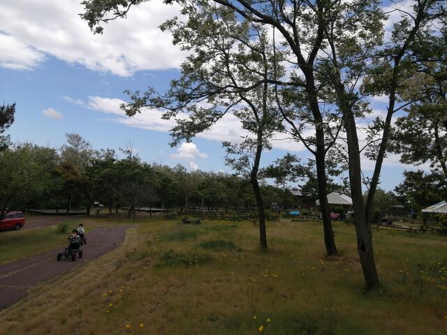 新潟県 キャンプ場