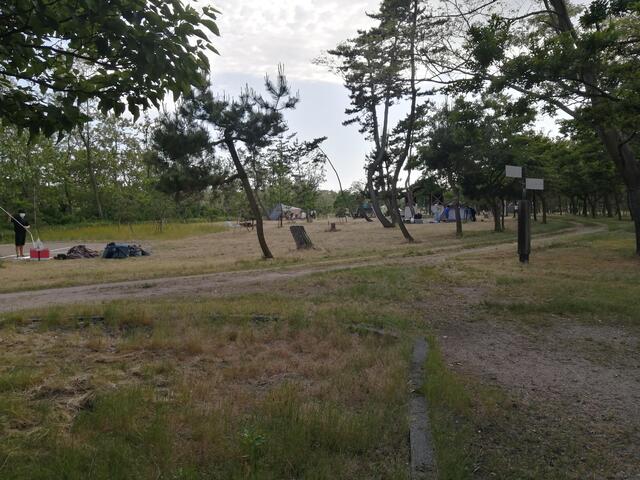 新潟県 キャンプ場