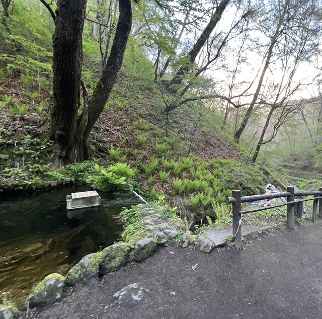 栃木県 キャンプ場